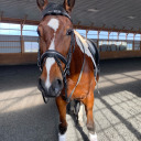 syndressage avatar