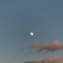 synonymousrex avatar