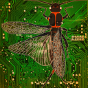 syntax-stonefly avatar