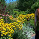 synthema-blog avatar