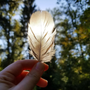 syrennagakyrie avatar