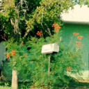 syrupymemoria avatar