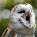 syscourse-shmiscourse avatar