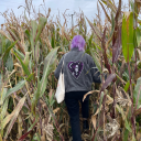 syst3mm3ltdown avatar