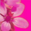 system-dot-html avatar