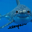 systematic-shark avatar