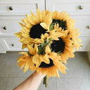 systemfailuresunshine avatar