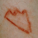 systemisbroken avatar