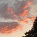 systemoftheliz avatar