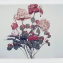 szalonesny-tutaj avatar