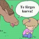 szarnyalo-lelek avatar