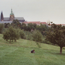 szniksznak-blog avatar