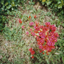 szniksznak1-blog avatar