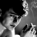 t-a-q-u-i-c-a-r-d-i-a avatar