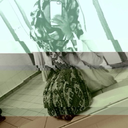 t-o-x-i-ciity-blog avatar