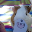 t00-many-assh0l3s avatar