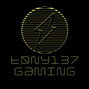 t0ny137gaming avatar