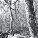 t0xic-warning avatar