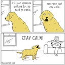 t3ddyb34r2002-blog avatar