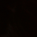 t3ddyvevy-blog avatar