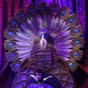 t4tower-of-t4terror avatar