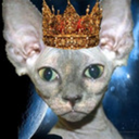 t74x6n83pq9sck4va0 avatar