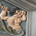 tabebuiarosea avatar