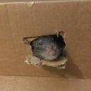 tabitha-doesnt-write-here avatar