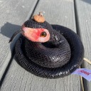 tablelikesowls avatar