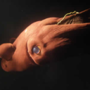 tablemold-blog avatar