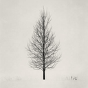 tacatblog-blog avatar