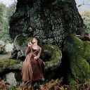 taciturn-nerd avatar