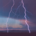 tacobellislife4ever avatar