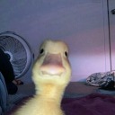 tacodulceuwu-blog avatar