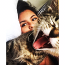 tacos-y-travesuras avatar