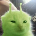 tacticallyaware avatar