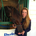 tacticalspeed avatar