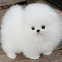 tagadastudio-travel avatar