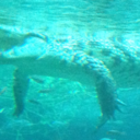 tahur321-blog avatar