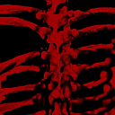 taiisiiya2011weez avatar