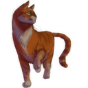 tailchaser-fritti avatar