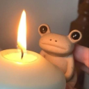 tailless-whale avatar