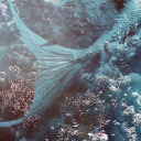 tailsformermaids avatar