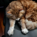 tailsfromthecrypt avatar