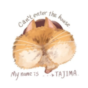 tajima030 avatar