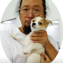 takashipom avatar