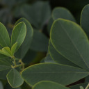 take-her-to-the-moon avatar