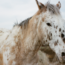 take-root-blog avatar