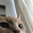 takeiteasyall avatar