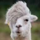 takemeoutimtrash avatar